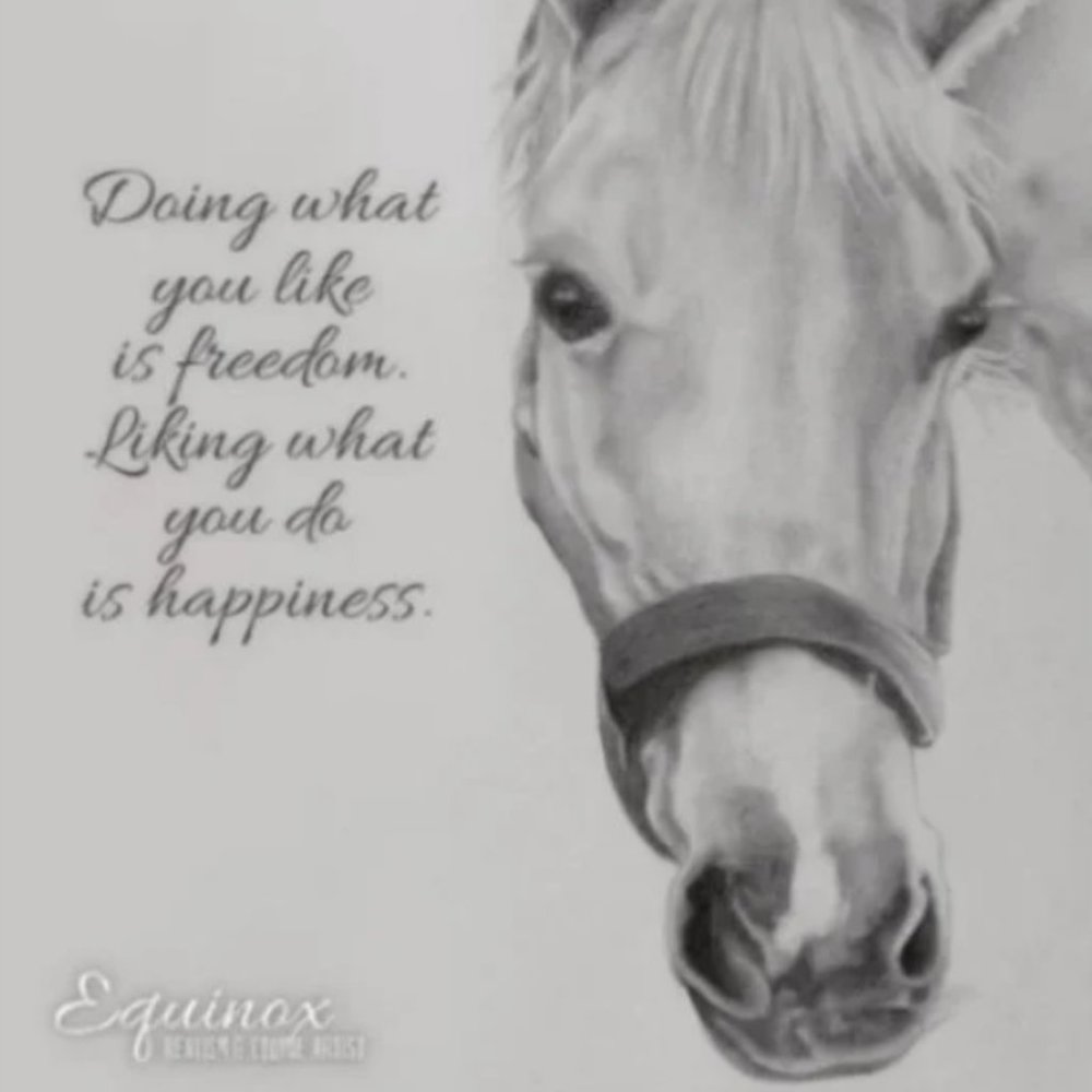 🐴 Horse drawing quote message Art Poster Print A4 Signed by artist